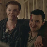 Gallavich