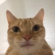 Techer