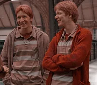 Weasley twins 