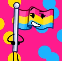 Pansexual Flag