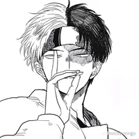 Shoto todoroki