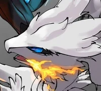 Destruction Reshiram