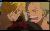 Sanji and zoro