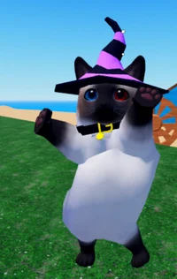 Magical Wishes chunk