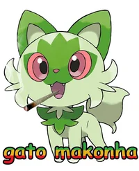 Gato makonha