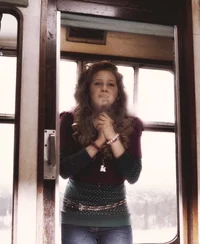 Lavender brown 