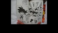 Team Bardock