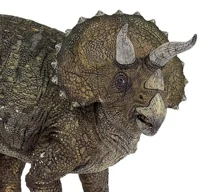 Triceratops