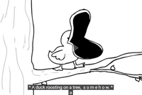 Duck SRPELO