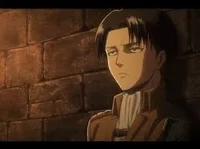 Levi Ackerman 