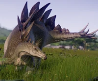 Stegosaurus