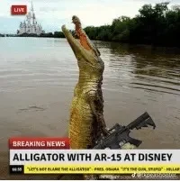 Alligator With A AR 