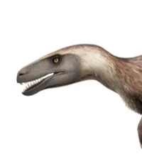 Skateboarding Raptor