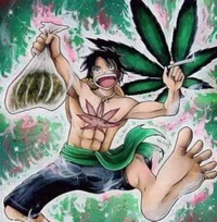 Weed Luffy