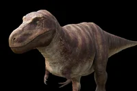 Tyrannosaurus