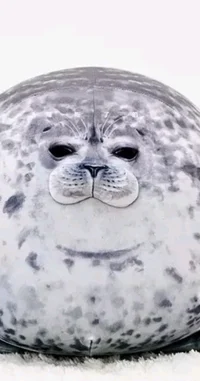 Fat seal plush