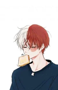 Shoto Todoroki