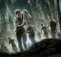 Maze runner