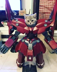 Cat Mech