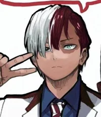 Todoroki shoto 