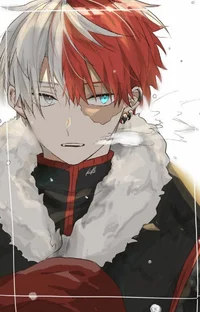 Shoto Todoroki