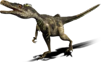 Velociraptor