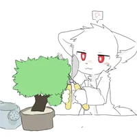 Doctor K but not doc