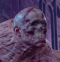 BG3 Flesh