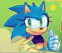 Sonica The Hedgehog