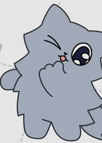 mainecoon in ho-salt