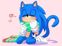Sonic the Cat