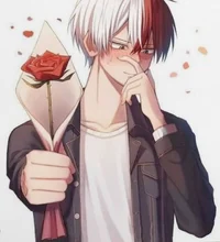 Shoto todoroki 