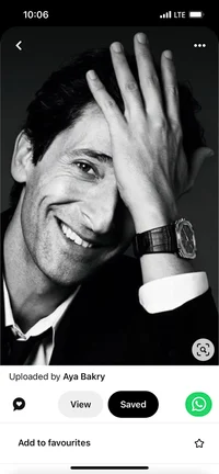 Adrien brody 