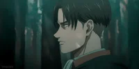 Levi ackerman 
