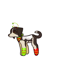 Carmen the coonhound