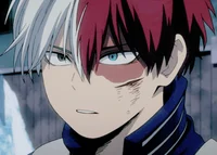 Shoto todoroki 