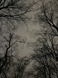 Stranger