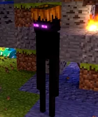 Eddie The Enderman