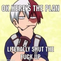 Shoto Todoroki