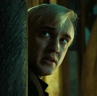 Draco malfoy 
