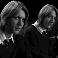 The Weasley Twins