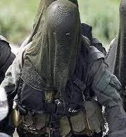 Danish Frogmen 