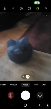 Blue cat mochi