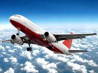 Plane Friend