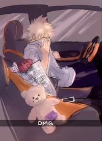 Bakugo katsuki hoco 
