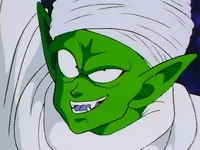 Piccolo Junior