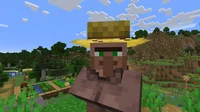 Villager farmer