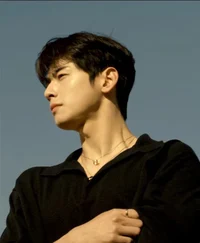 Cha eunwoo 