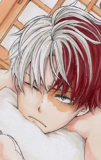 Todoroki