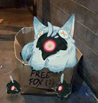 Foxttore